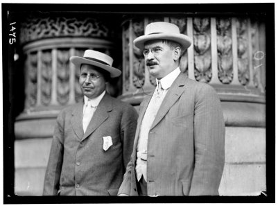 DEMOCRATIC NATIONAL CONVENTION. GOVERNOR JAMES COX OF OHIO; REP. J.J. FITZGERALD OF NEW YORK LCCN2016863895