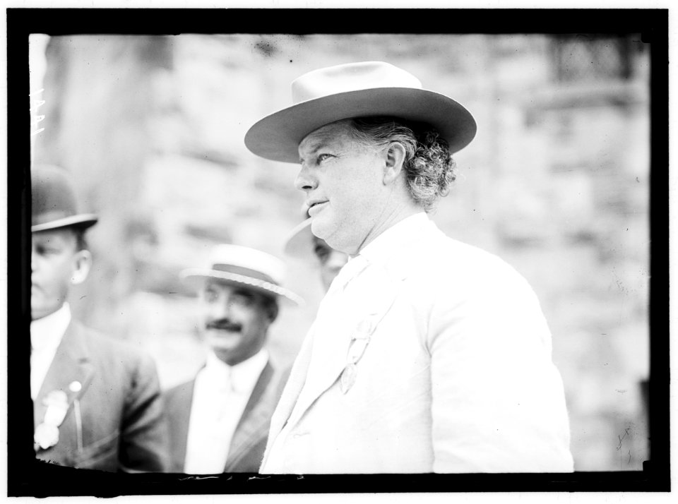 DEMOCRATIC NATIONAL CONVENTION. BREWER, EARL LE ROY, GOVERNOR OF MISSISSIPPI, 1912-1916 LCCN2016863869