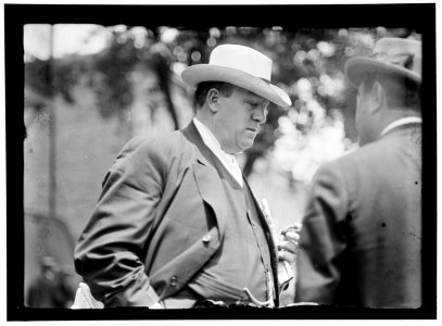 DEMOCRATIC NATIONAL CONVENTION. JAMES, OLLIE M., REP. FROM KENTUCKY, 1903-1913; SENATOR, 1913-1918 LCCN2016863928
