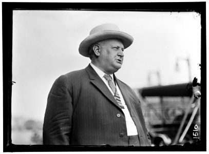 DEMOCRATIC NATIONAL CONVENTION. LENTZ, JOHN J., REP. FROM OHIO, 1897-1901 LCCN2016863925