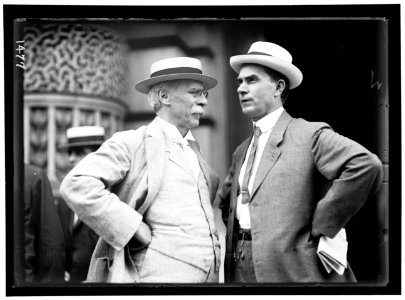DEMOCRATIC NATIONAL CONVENTION. GEORGE W. GUTHRIE, PENNSYLVANIA STATE CHAIRMAN; REP. R.L. HENRY OF TEXAS LCCN2016863897