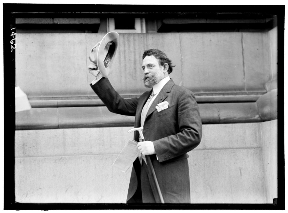DEMOCRATIC NATIONAL CONVENTION. LEWIS, JAMES HAMILTON, REP. FROM WASHINGTON, 1897-1899; SENATOR FROM ILLINOIS, 1913-1919, 1931- LCCN2016863884