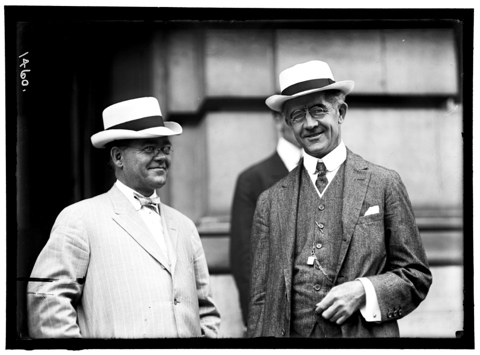 DEMOCRATIC NATIONAL CONVENTION. H.E. NEWBRANCH AND SEN. G.M. HITCHCOCK OF NEBRASKA LCCN2016863882