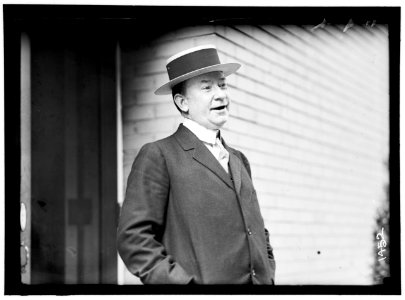 DEMOCRATIC NATIONAL CONVENTION. JOHN I. McGRAW OF WEST VIRGINIA LCCN2016863875