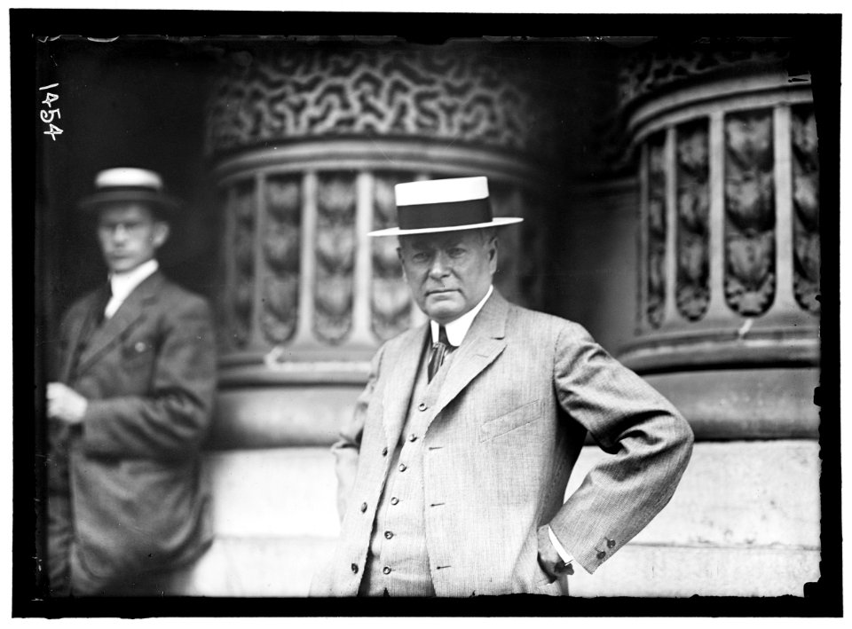 DEMOCRATIC NATIONAL CONVENTION. NORMAN E. MACK OF BUFFALO LCCN2016863877