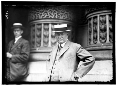 DEMOCRATIC NATIONAL CONVENTION. NORMAN E. MACK OF BUFFALO LCCN2016863877