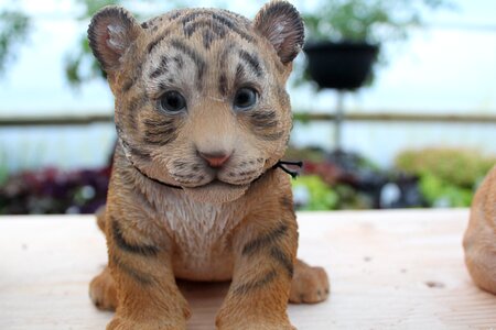 Cute cat gift