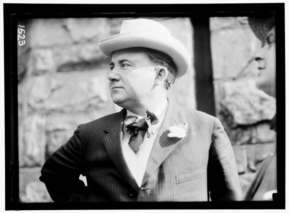 DEMOCRATIC NATIONAL CONVENTION. LITTLETON, MARTIN WILEY, REP. FROM NEW YORK, 1911-1913 LCCN2016863936