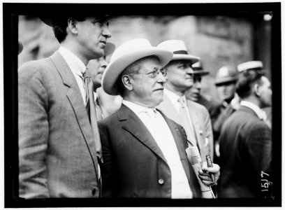 DEMOCRATIC NATIONAL CONVENTION. SAMUEL GOMPERS AND GRANT HAMILTON OF A.F. OF L. LCCN2016863931