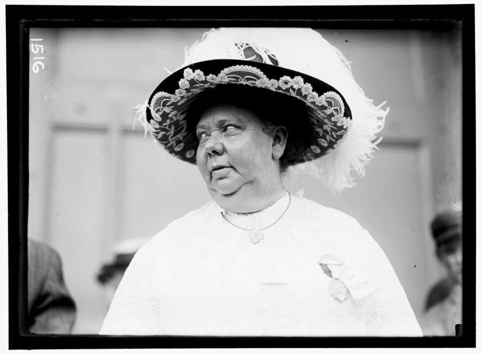 DEMOCRATIC NATIONAL CONVENTION. MRS. MAY WAKEWRIGHT (i.e. ARKWRIGHT) HUTTON, DELEGATE LCCN2016863930