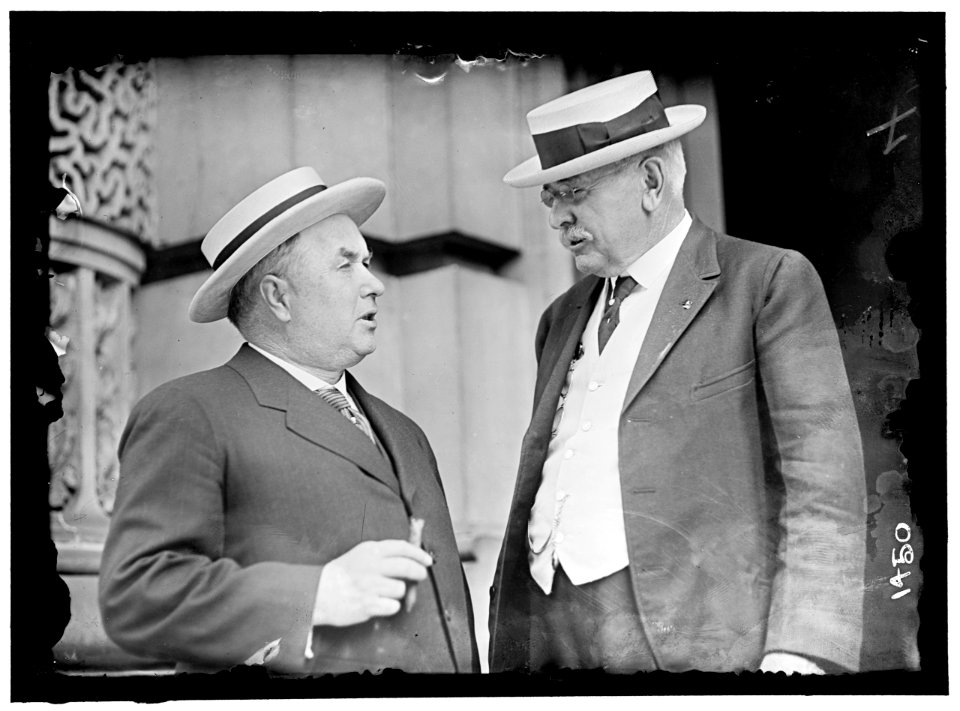 DEMOCRATIC NATIONAL CONVENTION. ROGER SULLIVAN OF ILLINOIS AND DR. P.L. HALL OF NEBRASKA LCCN2016863874