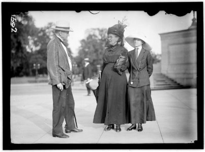 DEMOCRATIC NATIONAL CONVENTION. SEN. TILLMAN OF S.C.; MRS. TILLMAN; MISS TILLMAN LCCN2016863918