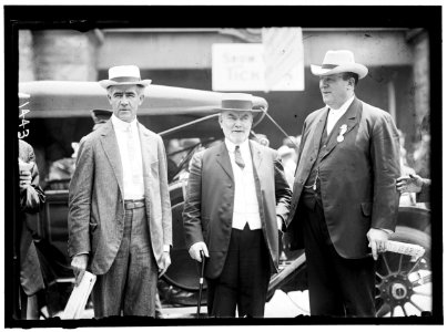 DEMOCRATIC NATIONAL CONVENTION. SENATORS HITCHCOCK OF NEBRASKA, O'GORMAN OF NEW YORK, AND JAMES OF KENTUCKY LCCN2016863871