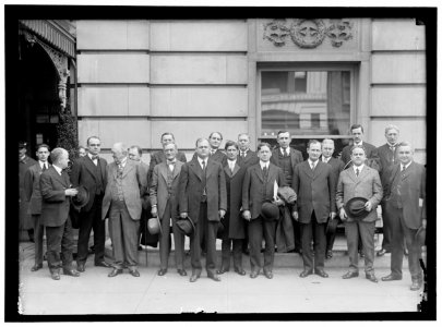 DEMOCRATIC STATE CHAIRMAN OUTSIDE WILLARD HOTEL, WITH SOME OF DEMOCRATIC NATIONAL COMMITTEE- 2ND FROM LEFT, R.W. WOOLLEY OF COM.; RIGHT FRONT, HOLDING OVERCOAT, ROLAND MARSH; 3RD FROM RIGHT LCCN2016867253
