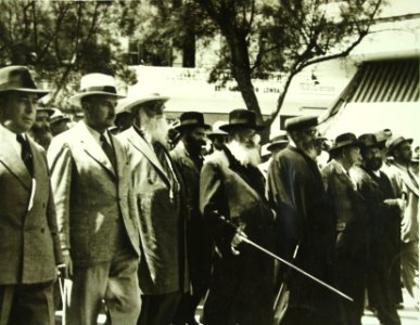 Demonstration in Tel Aviv against the British mandate policy H ih 037