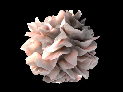 Dendritic cell revealed photo