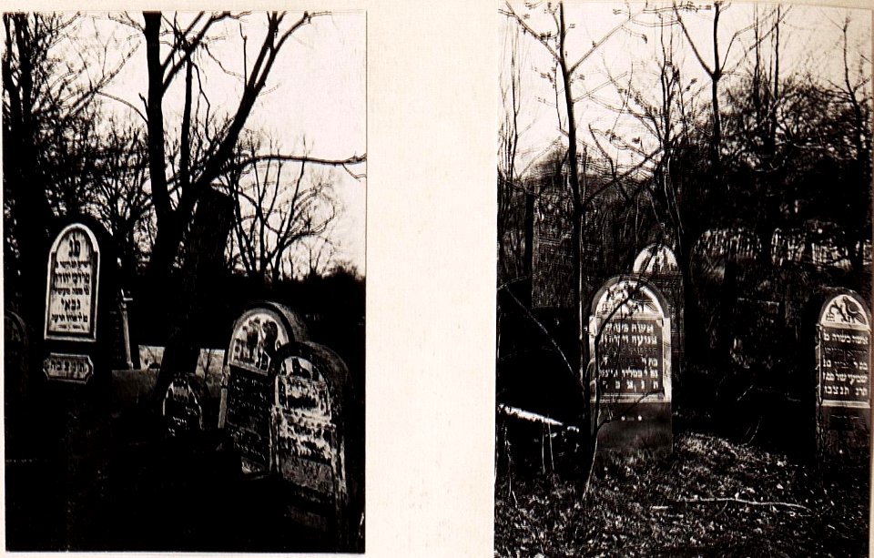 Denkmäler (Grabsteine) am jüd.Friedhof in Wladimir-Wolynskij. (BildID 15713678)