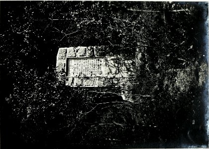 Denkmal im Fleimstal. (BildID 15588001)
