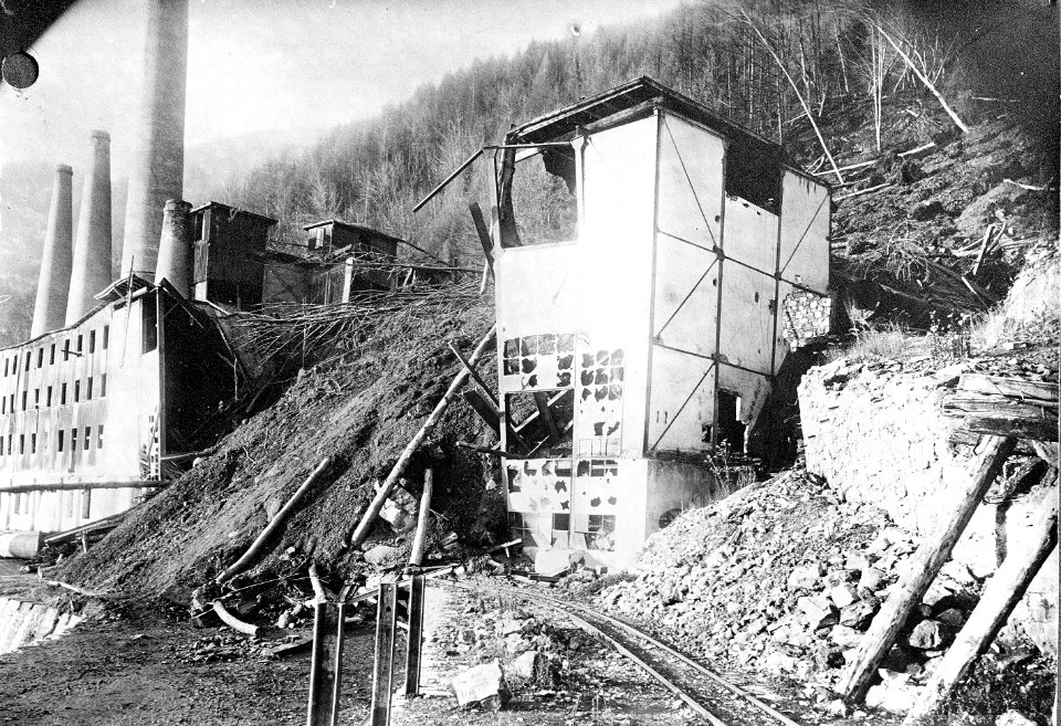 Die Zerstörung der Zementfabrik Seemühle durch einen Erdrutsch - CH-BAR - 3241659
