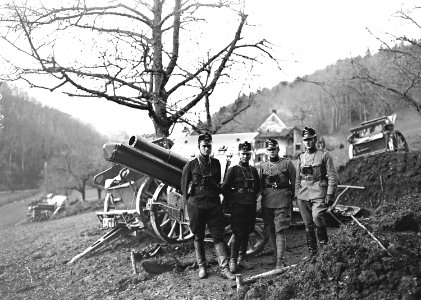 Die Zugführer der Haubitzen Batterie - CH-BAR - 3240182