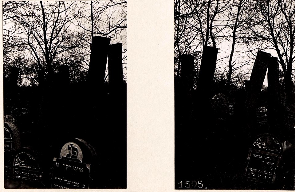 Denkmäler (Grabsteine) am jüd.Friedhof in Wladimir-Wolynskij. (BildID 15713671)