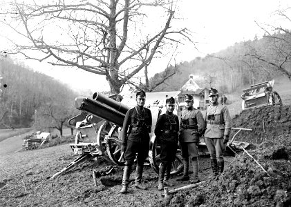 Die Zugführer der Haubitzen Batterie vor einer Haubitze - CH-BAR - 3240181