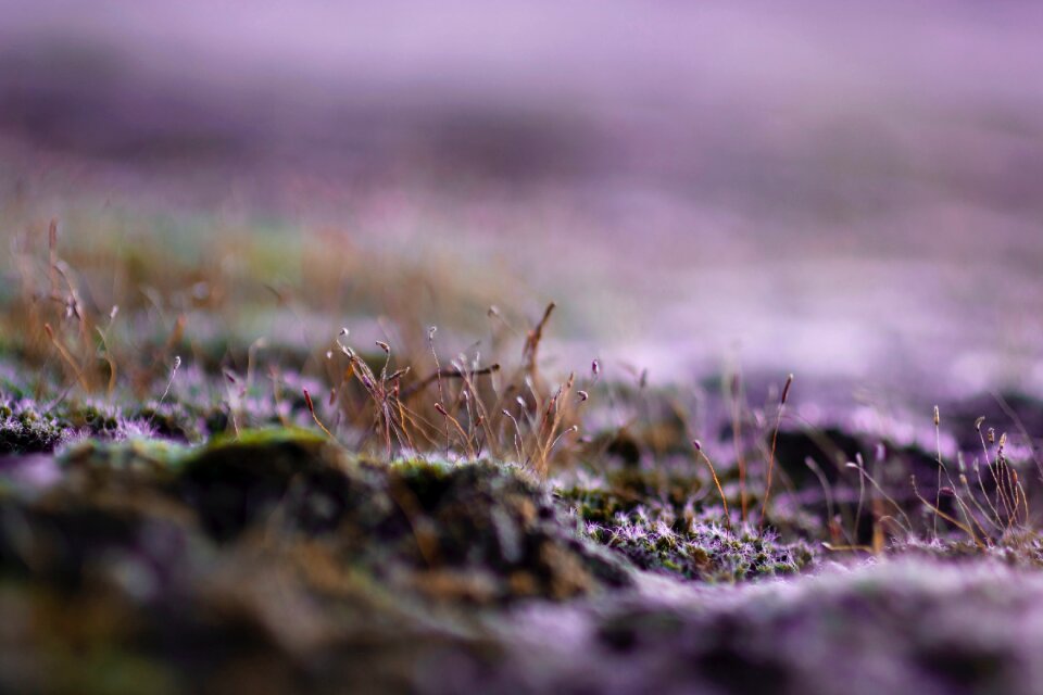 Landscape floor soil