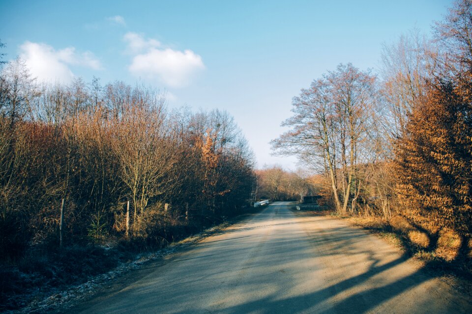 Plant nature road
