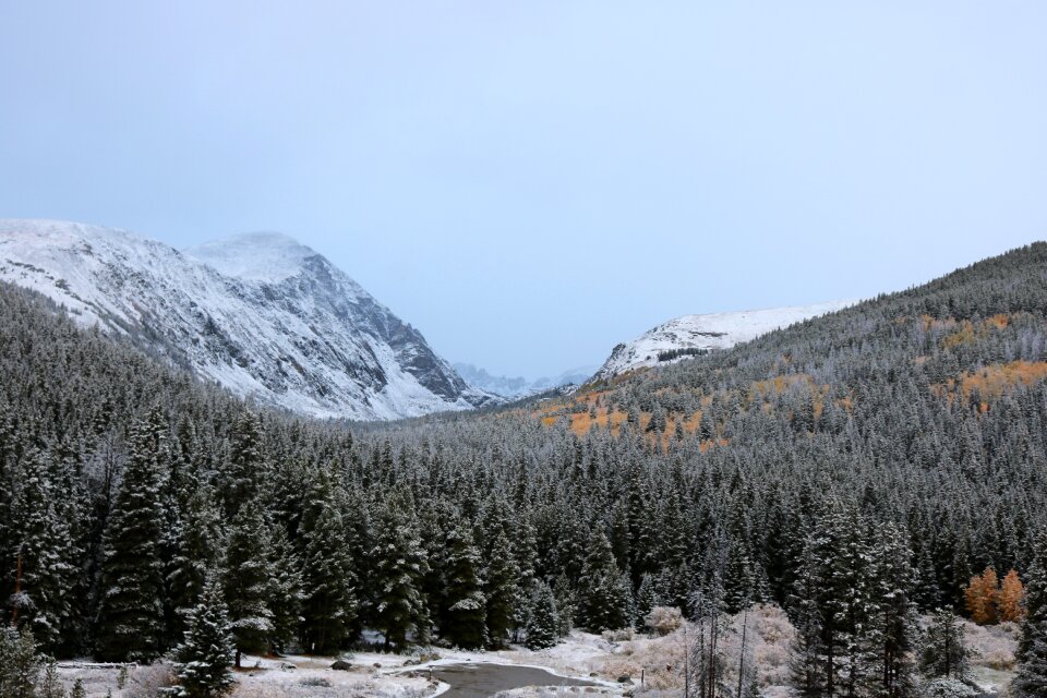 Winter outdoor landscape