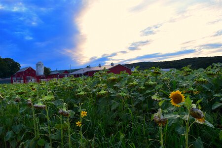 Sunset clouds landscape photo