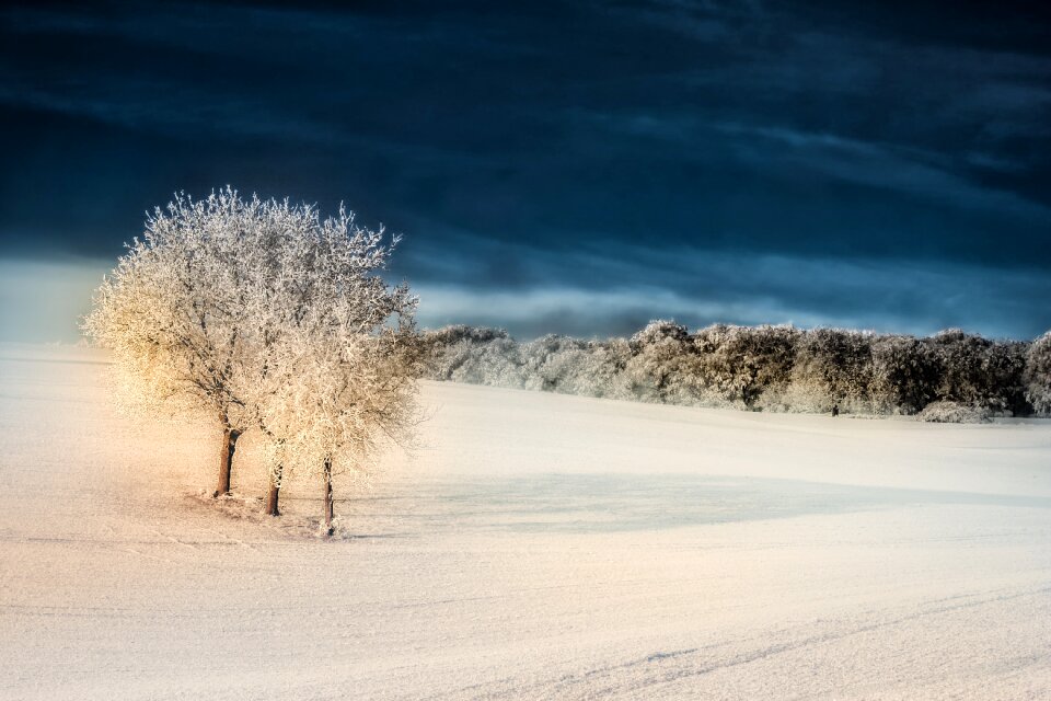 Iced hoarfrost mood photo