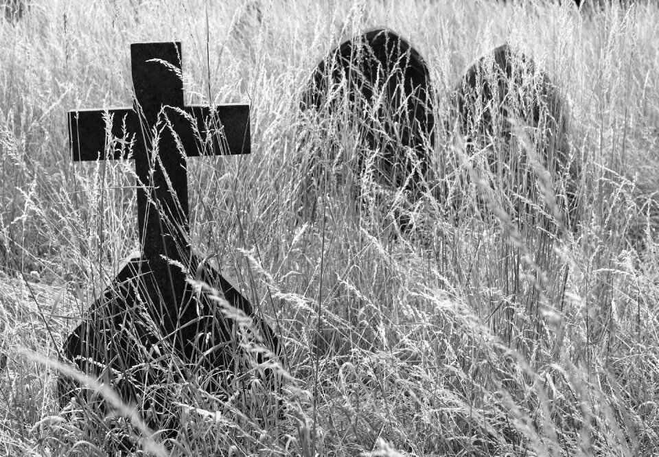 Meadow black and white gray cross