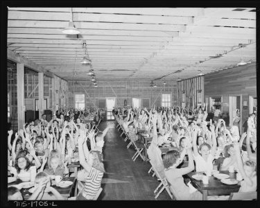 Dining-hall for campers. Here they are singing one song which is acted out. Koppers Recreation Camps, Inc. Camp... - NARA - 540908 photo