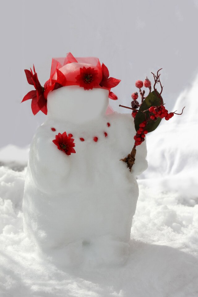 Winter decoration winter joy cold