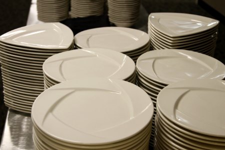 Dinner plates