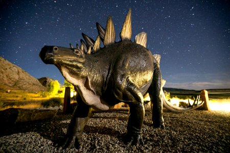 Dinosaur National Monument, Stegosaurus