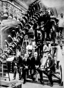 Dippy 1908 in Paris