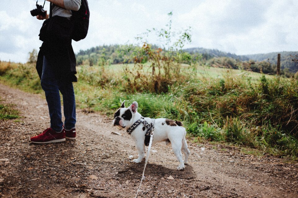 Autumn backpack bieszczady