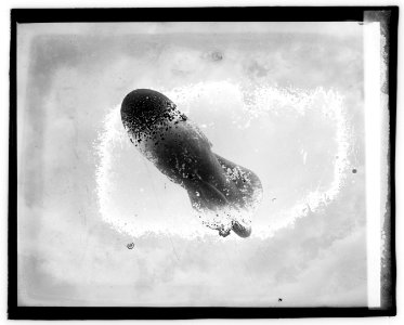 Dirigible LCCN2016827981