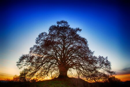 Dawn sky blue photo