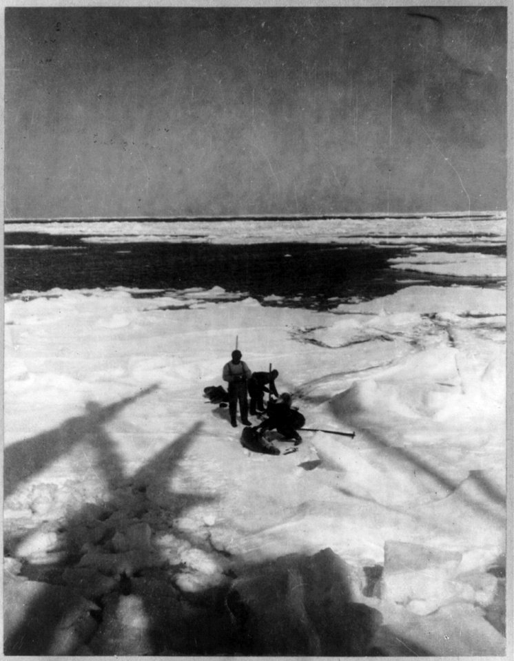 Discovery and explorations of the South Pole by Capt. Roald Amundsen and crew, 1910-11)- Members of the expedition capturing seals LCCN2003654684