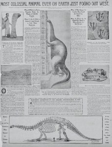 Discovery of Dippy the Diplodocus, announced in the New York Journal and Advertiser