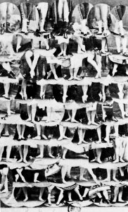 Disdéri, André Adolphe Eugène - Mosaik (Zeno Fotografie)