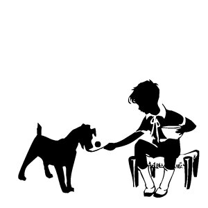 Dog feed feeding