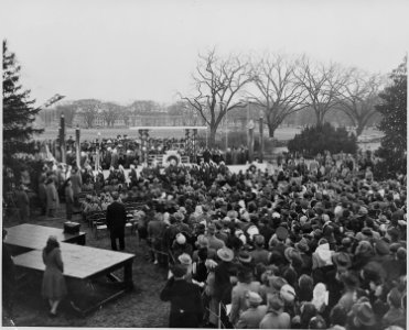 Distance view of audience looking toward podium at the ceremonies for the lighting of the White House Christmas Tree. - NARA - 199668 photo