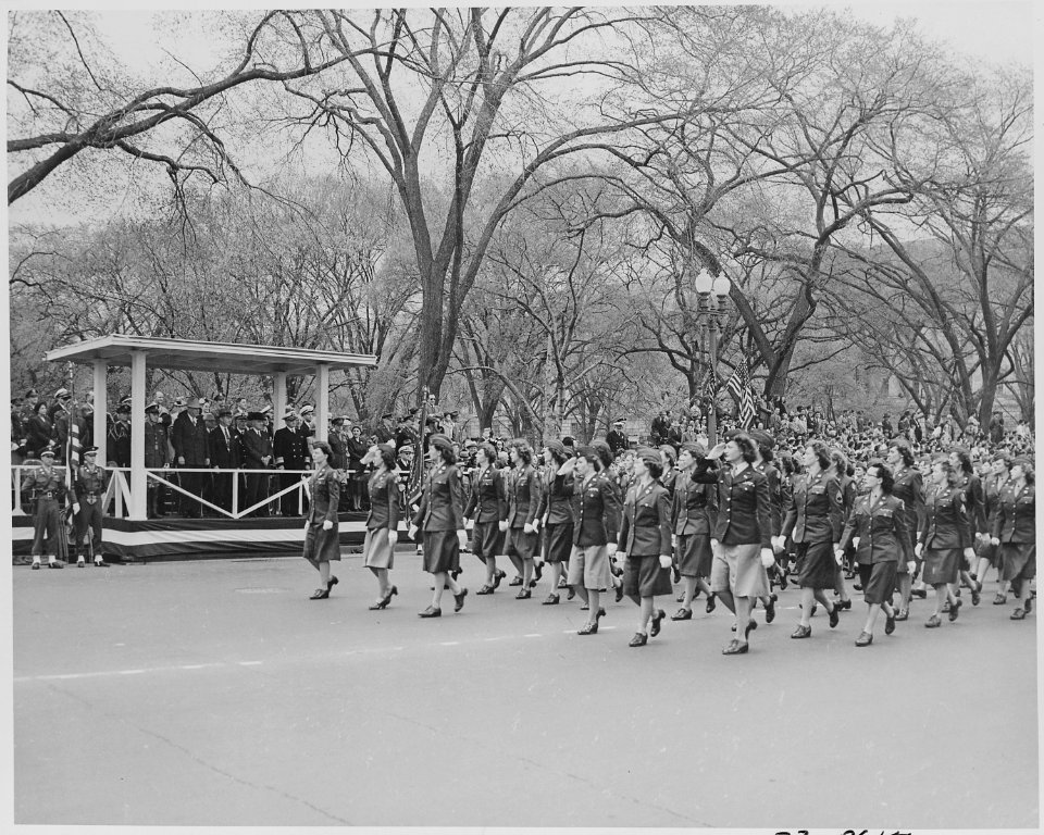 Distance view of President Truman in the reviewing stand watching the Womens Army Corps march by in the Army Day... - NARA - 199773