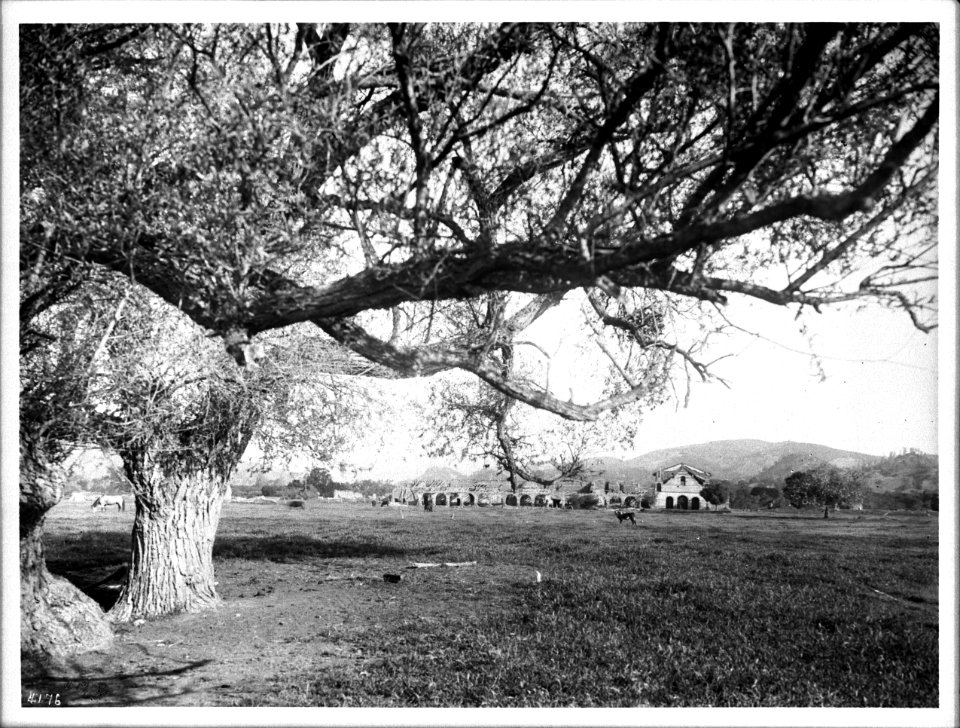 Distant general view of Mission San Antonio de Padua, California, ca.1906 (CHS-4176)