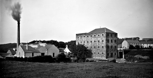 Distillery, Bushmills, Co. Antrim (26174707572) (cropped)