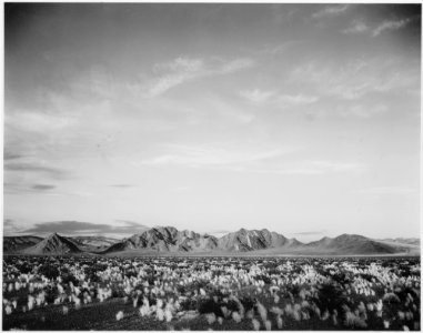 Distant view of mountains, desert, shrubs highlighted in foreground, Near Death Valley National Monument, California., - NARA - 519855 photo