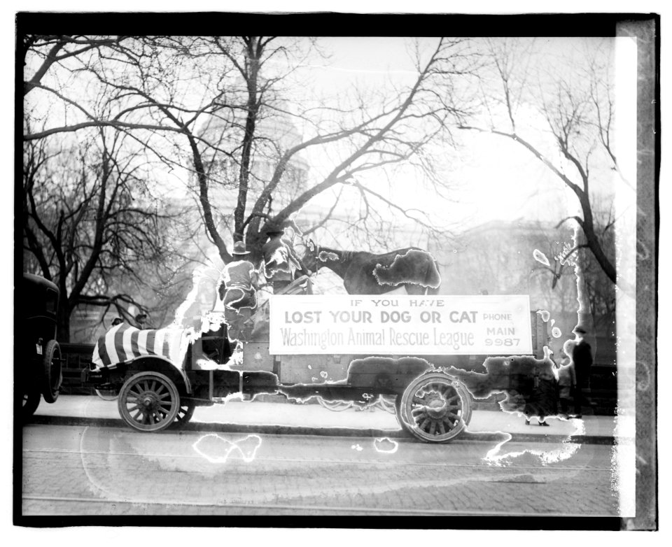 District Animal Parade LCCN2016827791